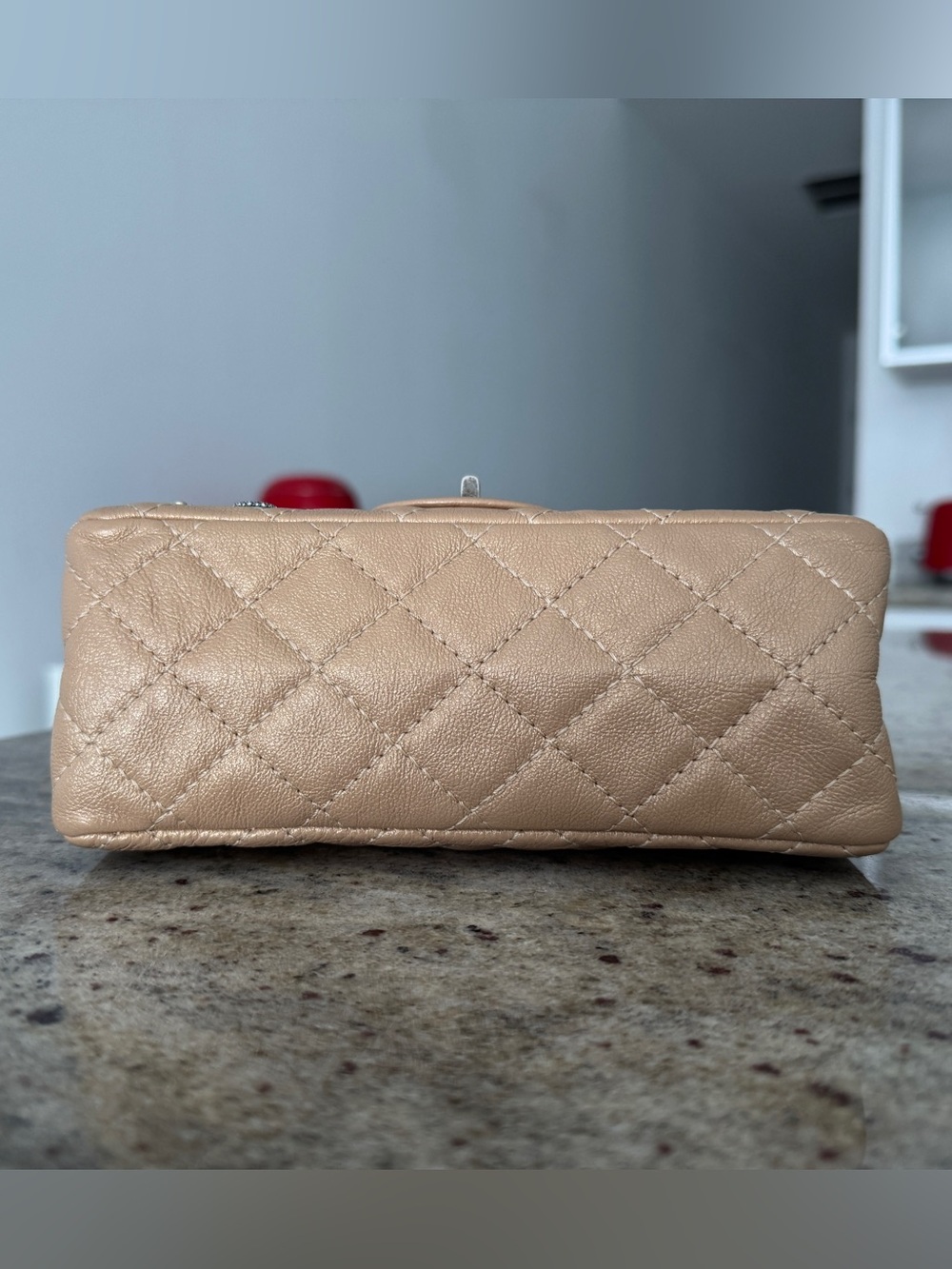 Limited Edition Chanel Lucky Charms 2.55 Reissue 224 Double Flap Bag - Picture 5 of 14